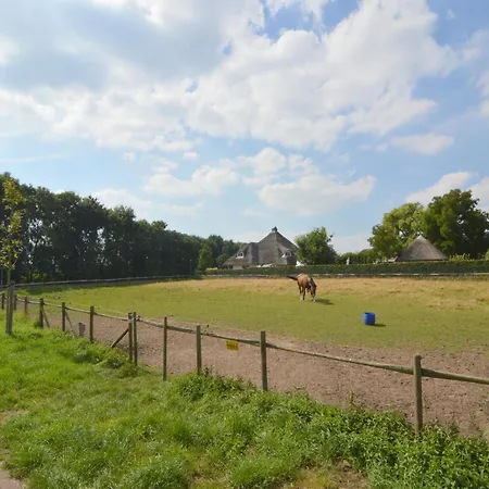 Pet-friendly In Limburg, Cleaning Included Posterholt