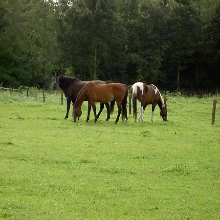 In Near Meinweg Park, Cleaning Included *